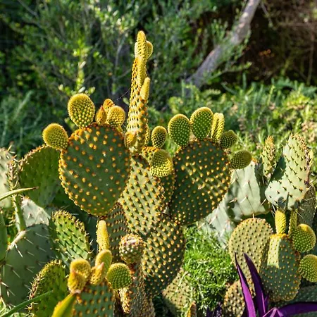 Appartamento Dadic *