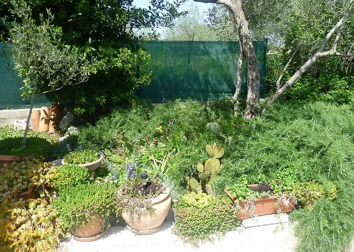 Dadic * Бибинье